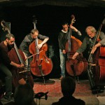 SEQUOIA  In Between Festivals, В© Viola ForsterDownload